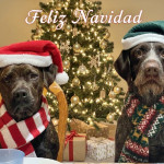 Francisco Javier Gomez G.