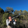 Alejandro Cumplido