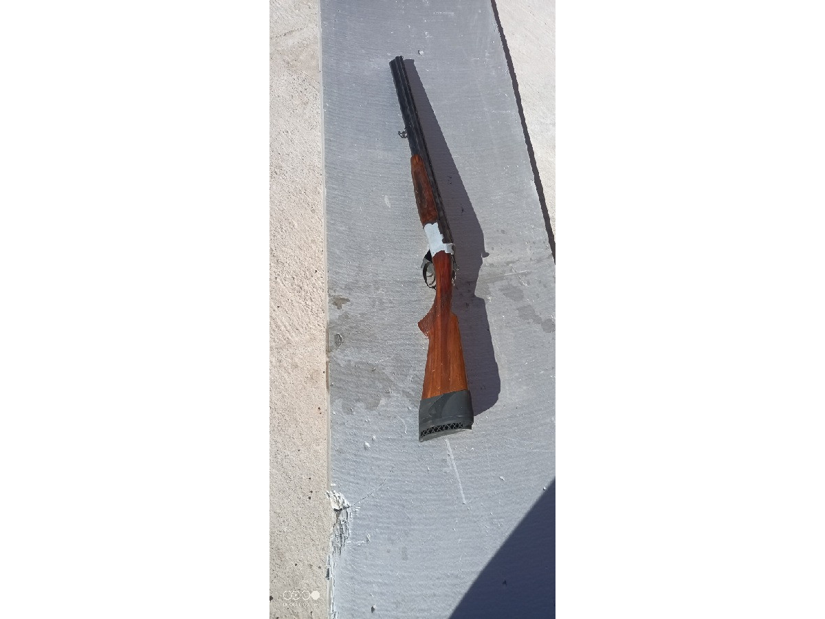 Ascensión Zabala  C12