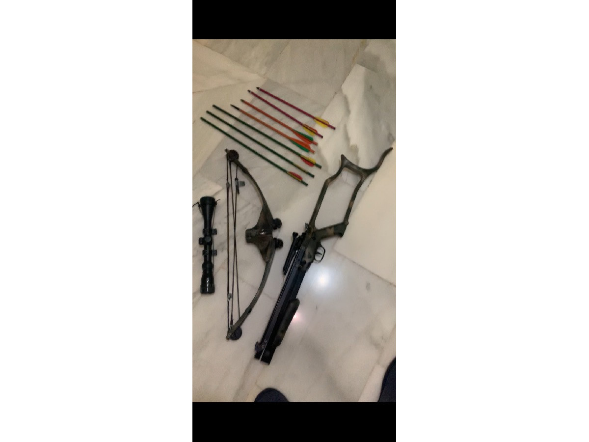 Ballesta Barnett Commando II