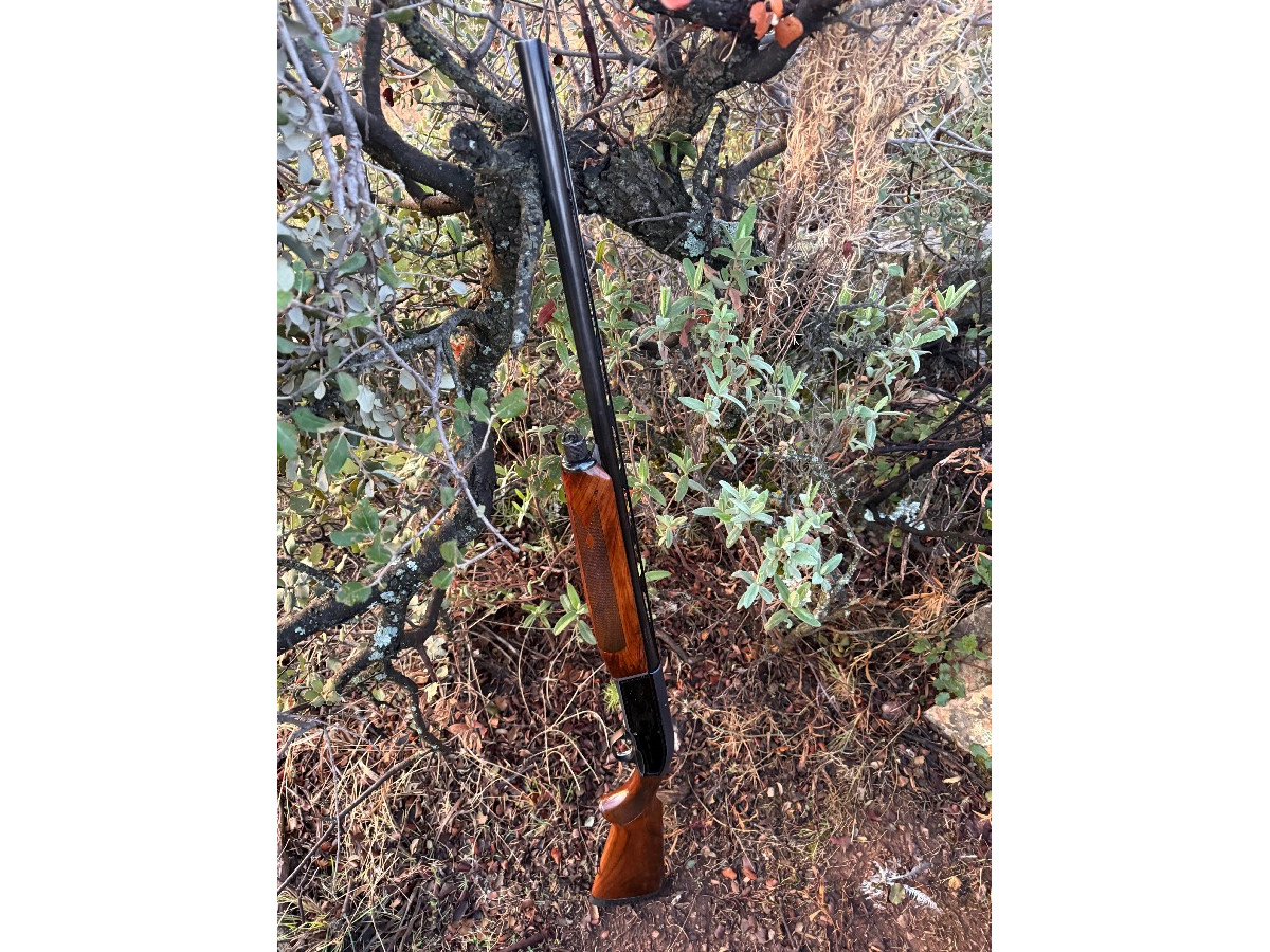 Beretta 303 *** estrellas