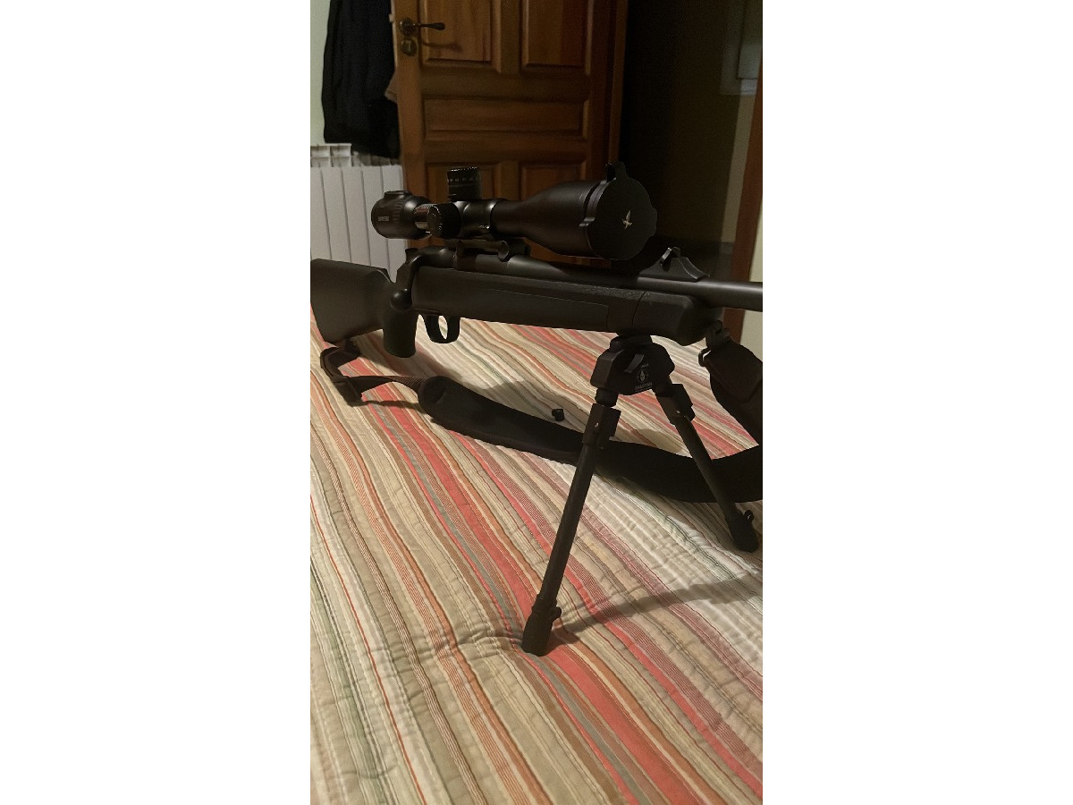 blaser r8 + visor swashroski