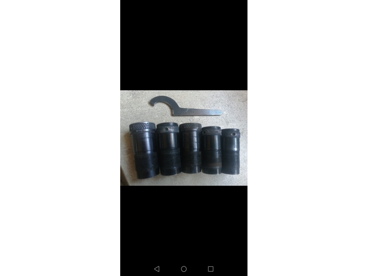 Cinco Polichokes Laurona