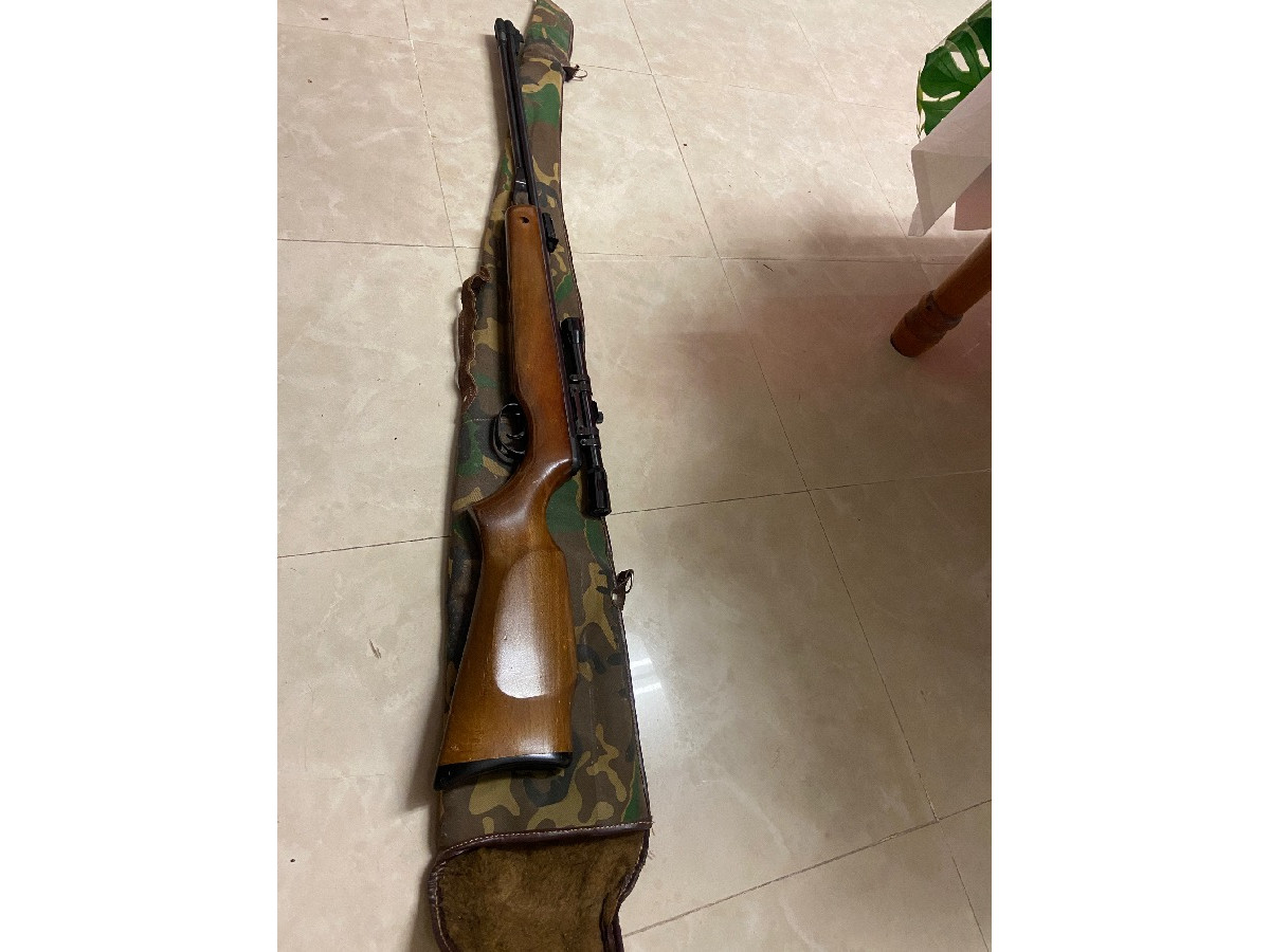 Escopeta balines gamo CF 20 con mira