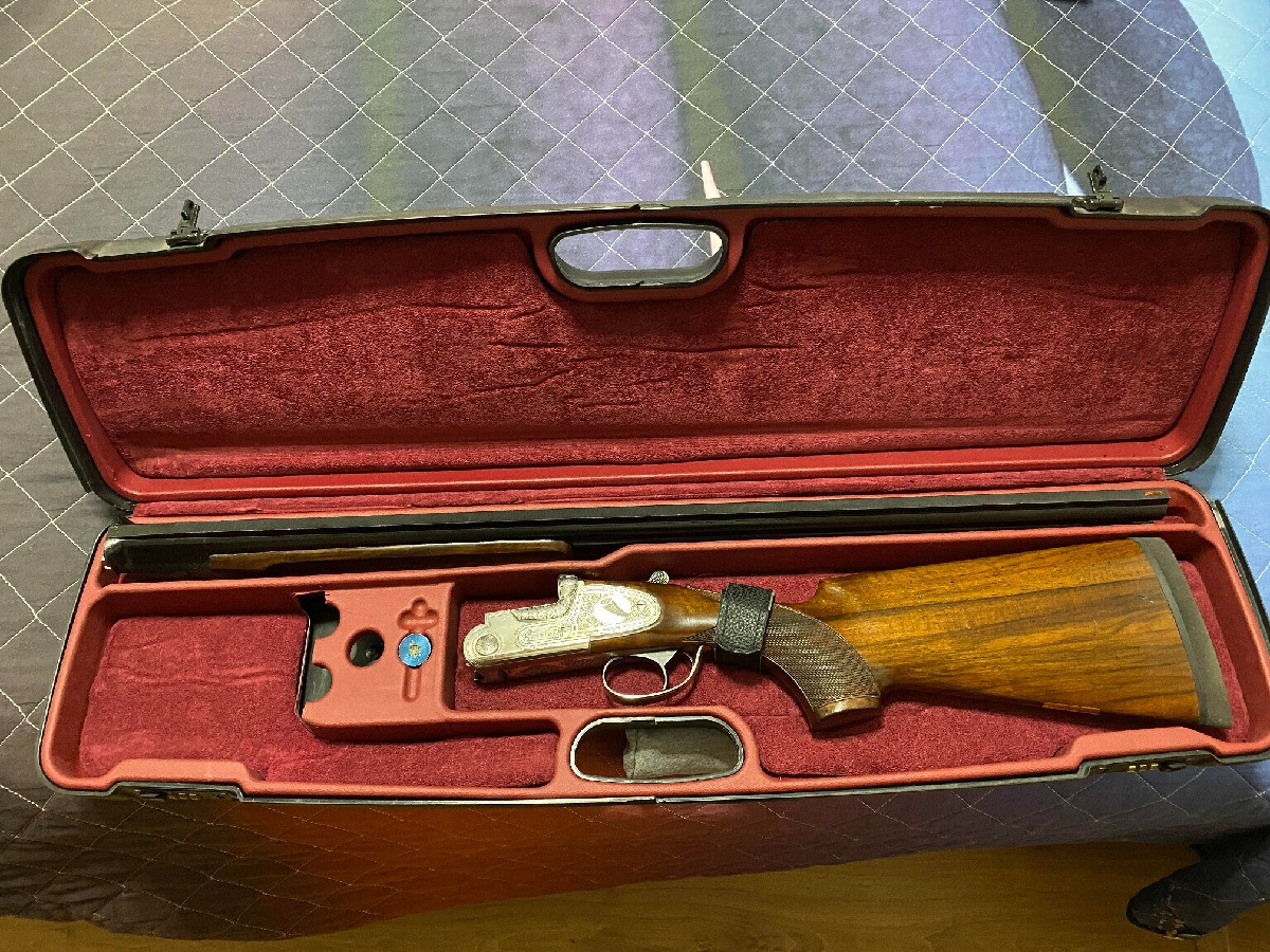 Superpuesta Francisco Sarriugarte FS300