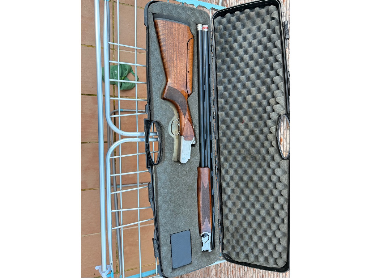 Krico súper sporting