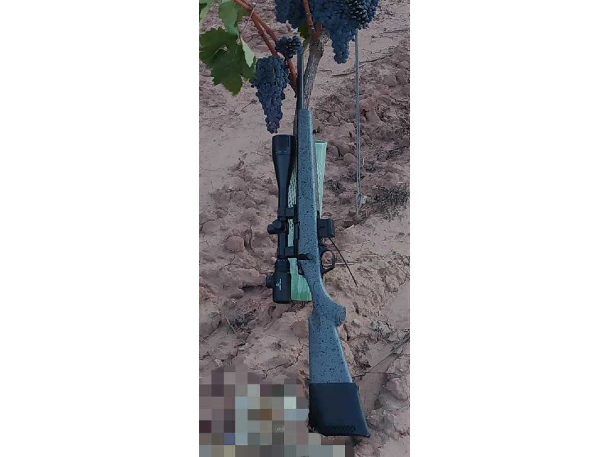 Rifle Bergara BMR STEEL cal.22lr.