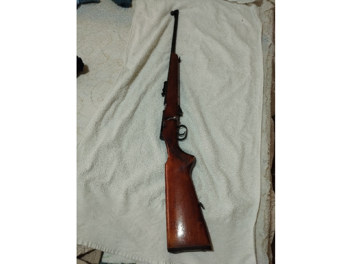 Rifle Carabina TOZ 22 LR