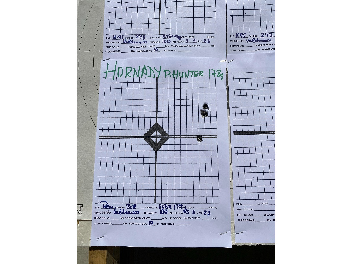 RIFLE DE CERROJO REMINGTON 308