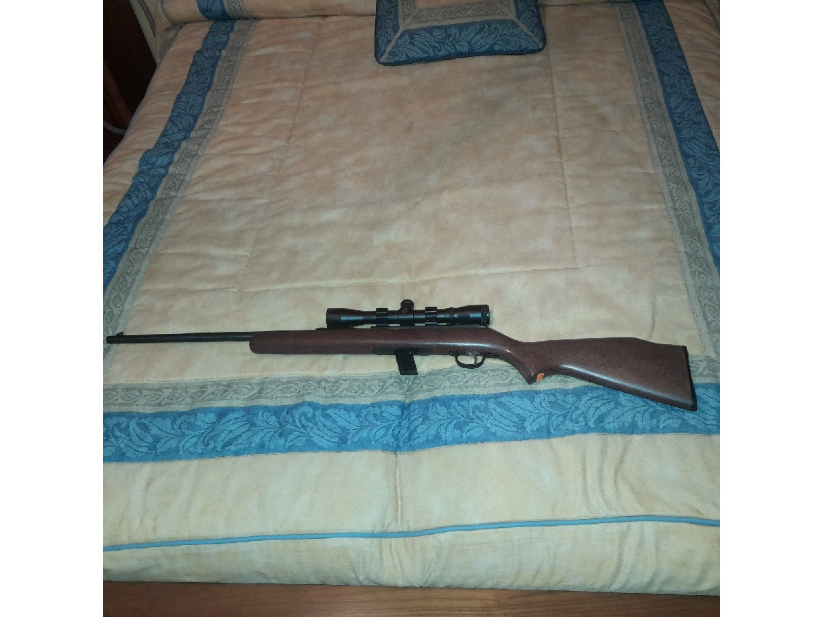 Rifle savage calibre 22