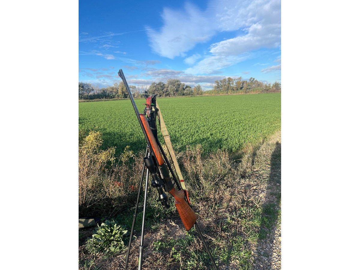 Rifle semiautomático Browning bar 2