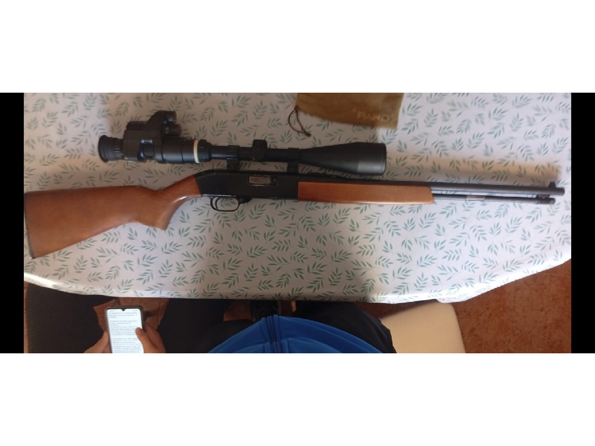 Rifle winchester calibre 22