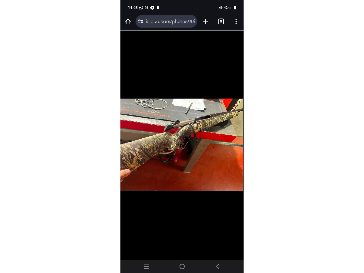 Rifle winchester xpr 308