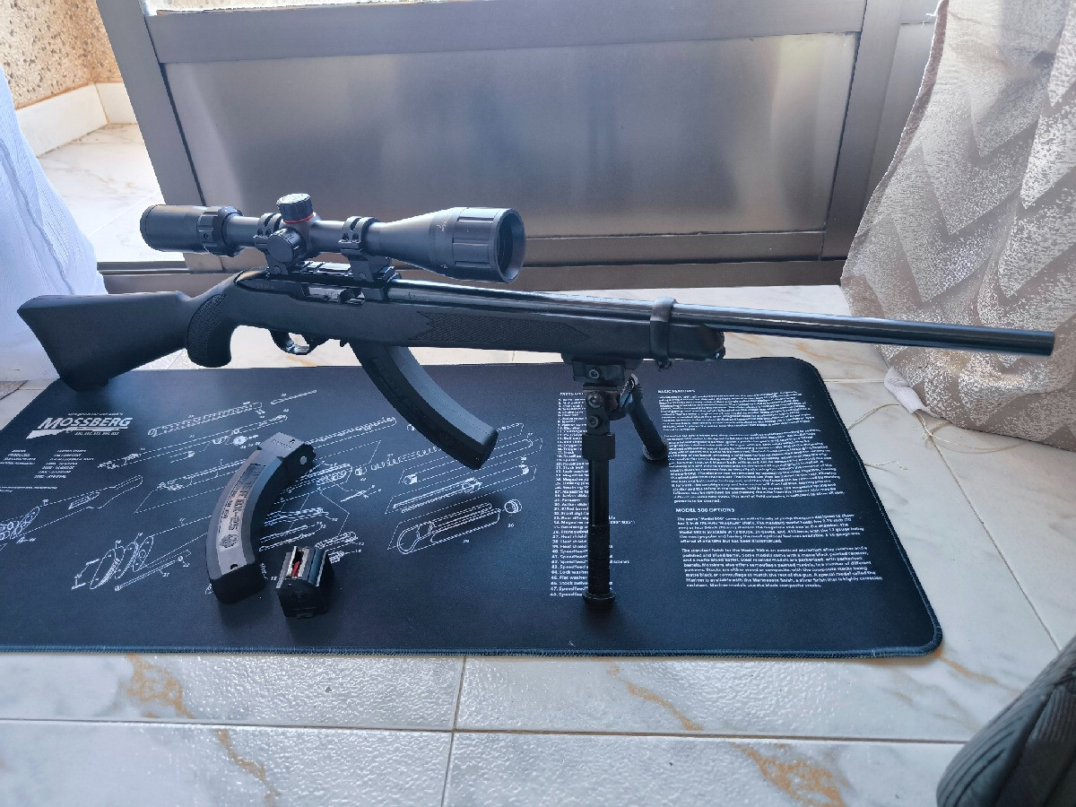 Ruger 10/22 impecable + visor simmons + pack cargadores