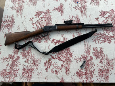 Amadeo Rossi 44 Magnum