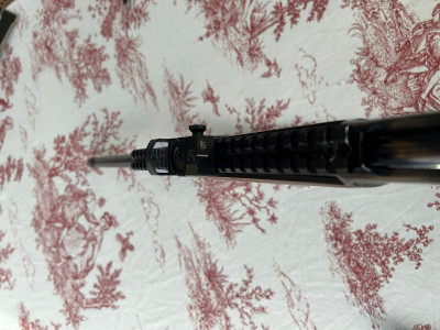 Amadeo Rossi 44 Magnum