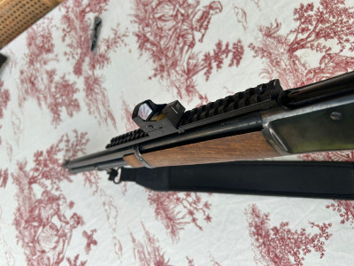 Amadeo Rossi 44 Magnum