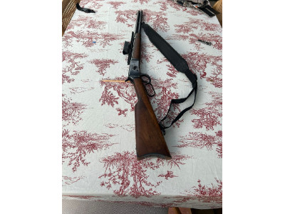 Amadeo Rossi 44 Magnum