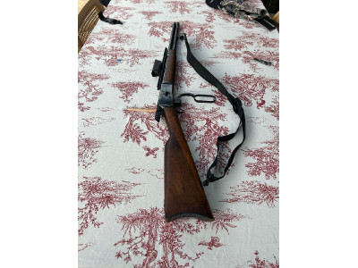 Amadeo Rossi 44 Magnum