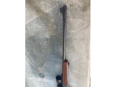 Anschutz modelo 520/61