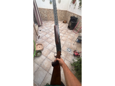 Antonio Zoli Kronos Sporting