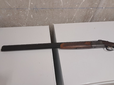 Antonio Zoli, modelo Delfino