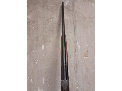 Antonio Zoli, modelo Delfino