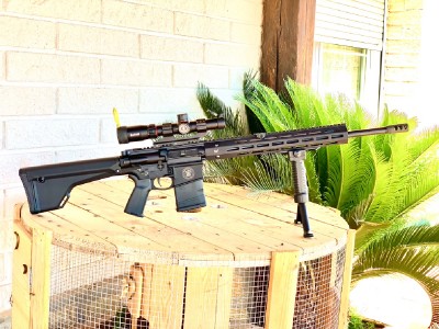 Smith & Wesson AR10