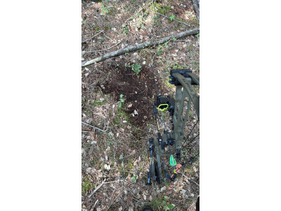 Arco Hoyt Alpha X 33