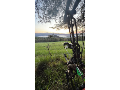 Arco Hoyt Alpha X 33