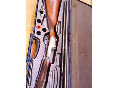 Armas paralelas y superpuesta