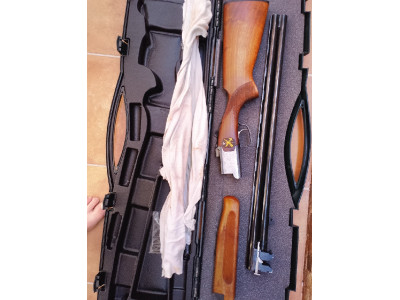 Armas paralelas y superpuesta