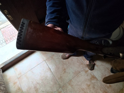 Arrieta modelo liega paralela