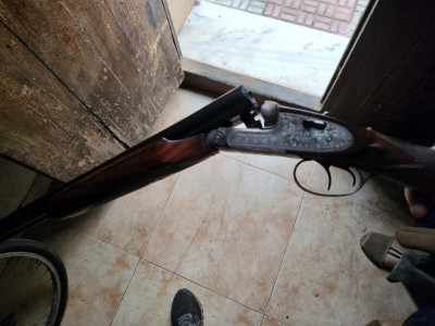 Arrieta modelo liega paralela