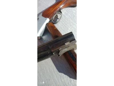 Ascensión Zabala  C12