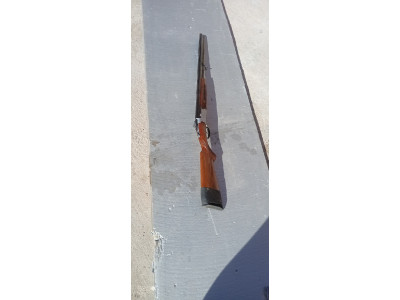 Ascensión Zabala  C12