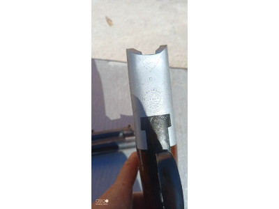 Ascensión Zabala  C12