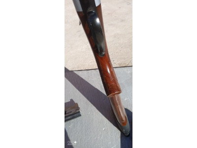 Ascensión Zabala  C12