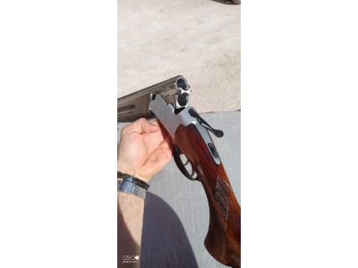 Ascensión Zabala  C12