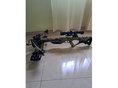 Ballesta pse coalition