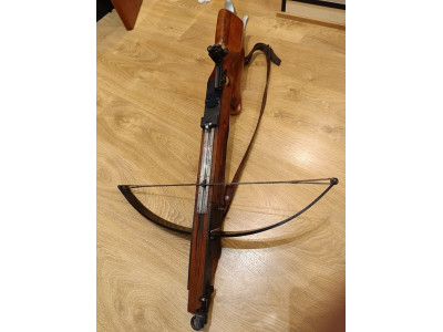 ballesta Suiza de competición