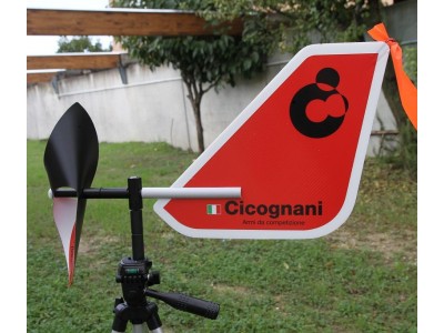 BANDERA DE VIENTO -  CICOGNANI