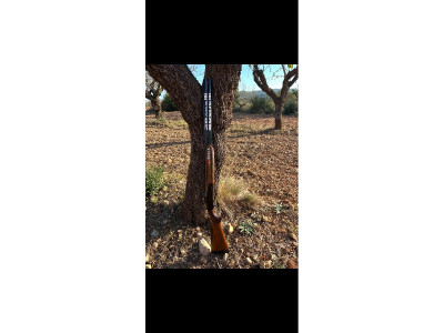 Benelli 828 U Black Estado: Excelente