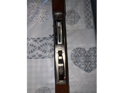 benelli aaaaaaaaaaaa