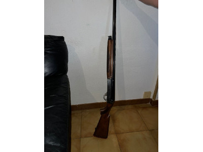 benelli aaaaaaaaaaaa