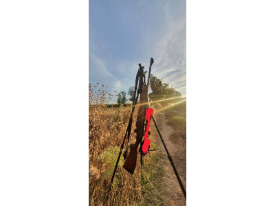 Benelli Argo  semiautomático