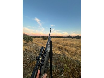 Benelli Argo E callibre .338