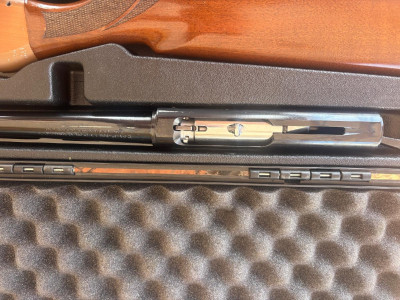 Benelli Belmonte 2 brown.