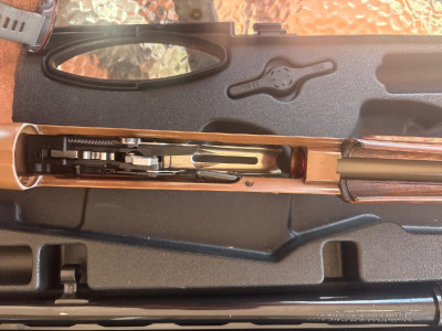 Benelli Belmonte 2 brown.