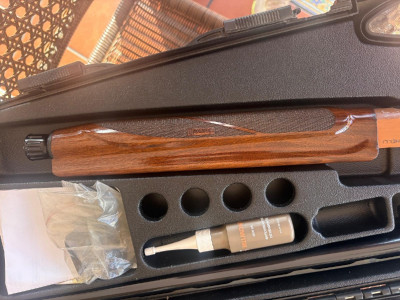 Benelli Belmonte 2 Brown